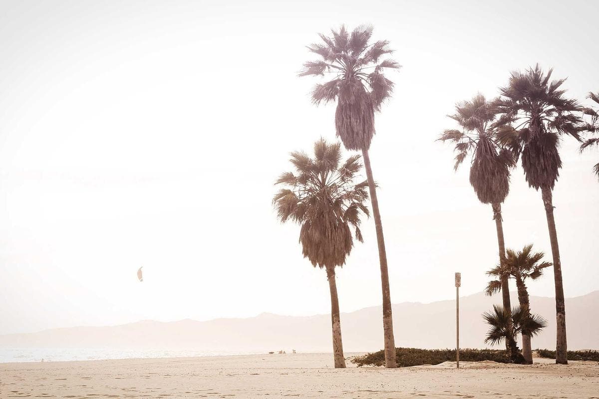 Minimalism as a Creative Catalyst